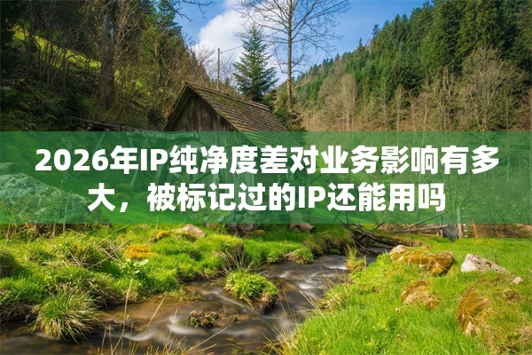 2026年IP纯净度差对业务影响有多大，被标记过的IP还能用吗