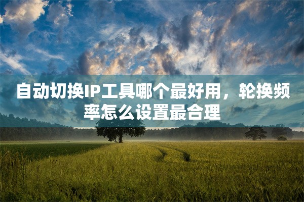 自动切换IP工具哪个最好用，轮换频率怎么设置最合理