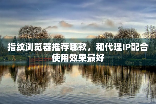 指纹浏览器推荐哪款，和代理IP配合使用效果最好