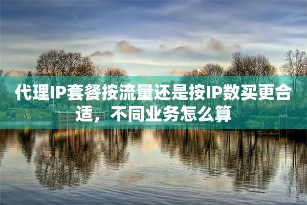 代理IP套餐按流量还是按IP数买更合适，不同业务怎么算