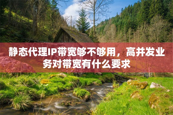 静态代理IP带宽够不够用，高并发业务对带宽有什么要求