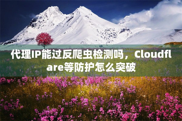 代理IP能过反爬虫检测吗，Cloudflare等防护怎么突破