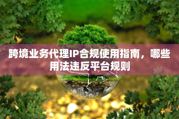 跨境业务代理IP合规使用指南，哪些用法违反平台规则