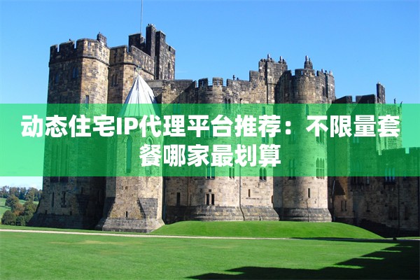 动态住宅IP代理平台推荐：不限量套餐哪家最划算