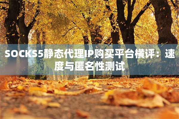 SOCKS5静态代理IP购买平台横评：速度与匿名性测试