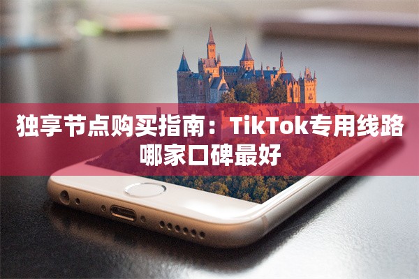 独享节点购买指南：TikTok专用线路哪家口碑最好