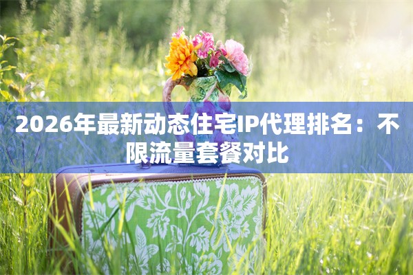 2026年最新动态住宅IP代理排名：不限流量套餐对比