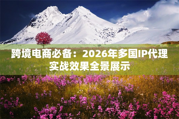跨境电商必备：2026年多国IP代理实战效果全景展示