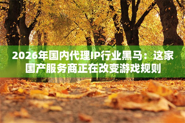 2026年国内代理IP行业黑马：这家国产服务商正在改变游戏规则