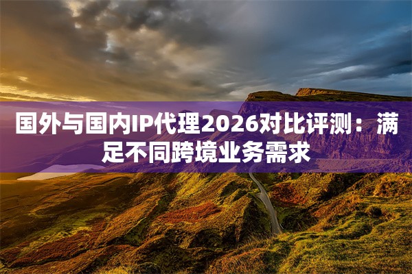 国外与国内IP代理2026对比评测：满足不同跨境业务需求