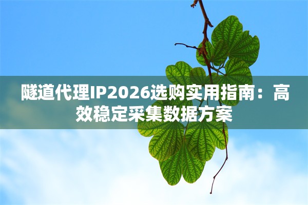 隧道代理IP2026选购实用指南：高效稳定采集数据方案