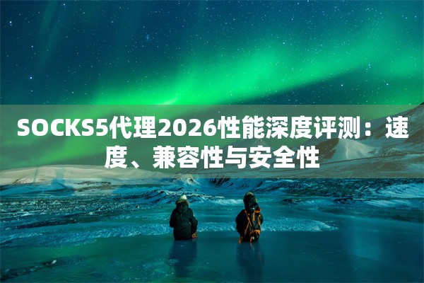 SOCKS5代理2026性能深度评测：速度、兼容性与安全性