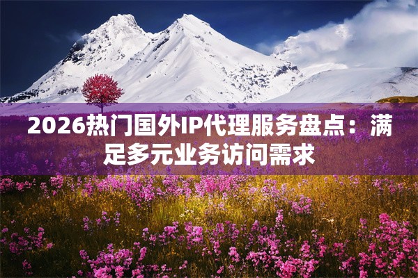 2026热门国外IP代理服务盘点：满足多元业务访问需求