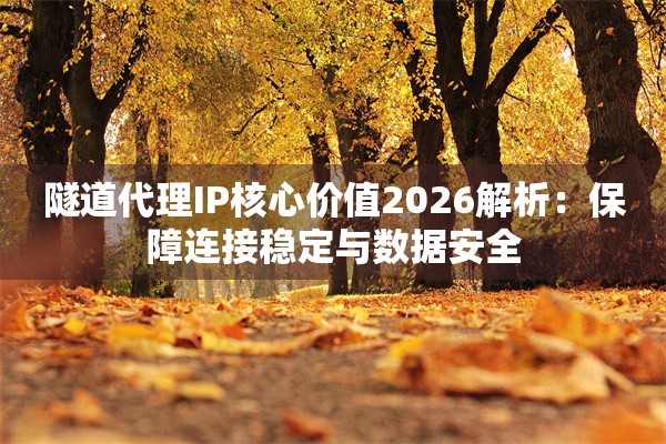 隧道代理IP核心价值2026解析：保障连接稳定与数据安全
