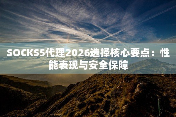 SOCKS5代理2026选择核心要点：性能表现与安全保障