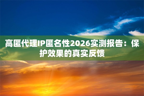 高匿代理IP匿名性2026实测报告：保护效果的真实反馈