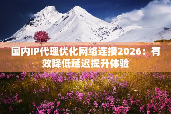 国内IP代理优化网络连接2026：有效降低延迟提升体验