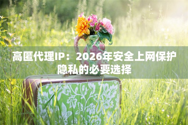 高匿代理IP：2026年安全上网保护隐私的必要选择