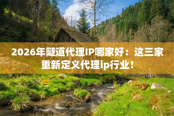 2026年隧道代理IP哪家好：这三家重新定义代理ip行业！