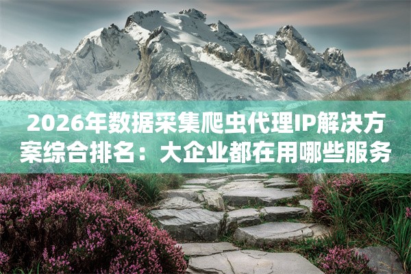 2026年数据采集爬虫代理IP解决方案综合排名：大企业都在用哪些服务？