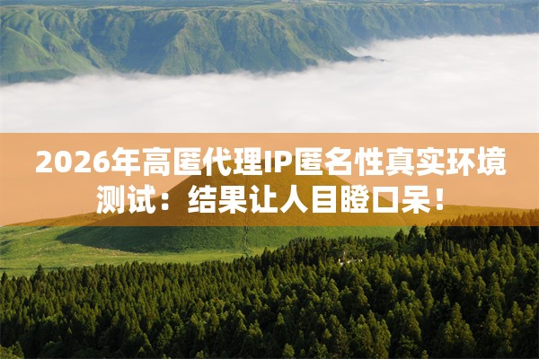 2026年高匿代理IP匿名性真实环境测试：结果让人目瞪口呆！