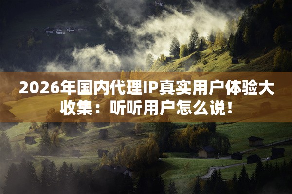 2026年国内代理IP真实用户体验大收集：听听用户怎么说！