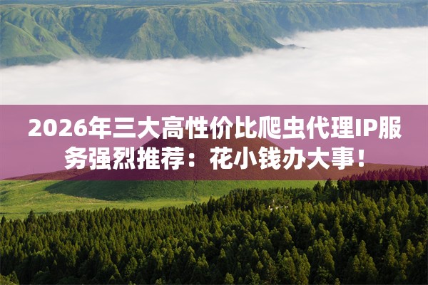 2026年三大高性价比爬虫代理IP服务强烈推荐：花小钱办大事！