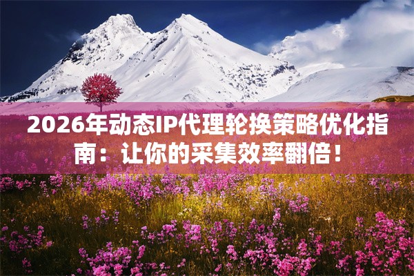2026年动态IP代理轮换策略优化指南：让你的采集效率翻倍！