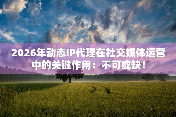 2026年动态IP代理在社交媒体运营中的关键作用：不可或缺！