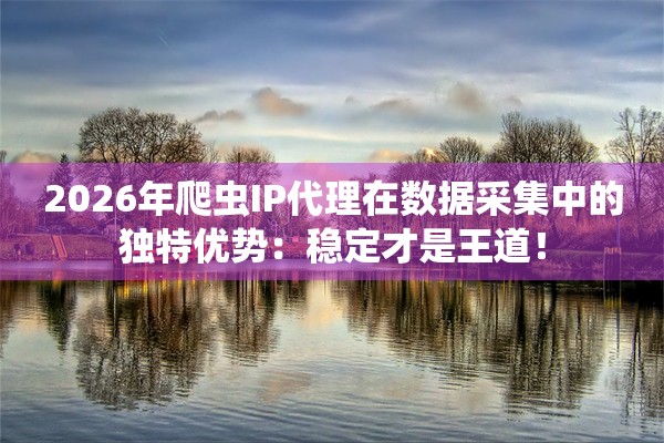 2026年爬虫IP代理在数据采集中的独特优势：稳定才是王道！
