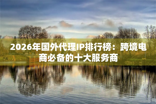 2026年国外代理IP排行榜：跨境电商必备的十大服务商