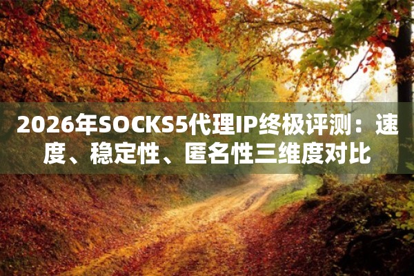 2026年SOCKS5代理IP终极评测：速度、稳定性、匿名性三维度对比