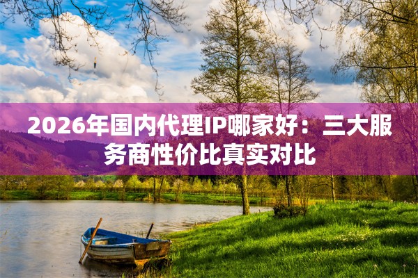 2026年国内代理IP哪家好：三大服务商性价比真实对比