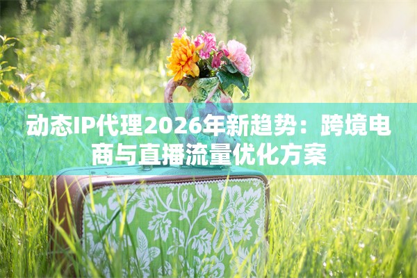 动态IP代理2026年新趋势：跨境电商与直播流量优化方案
