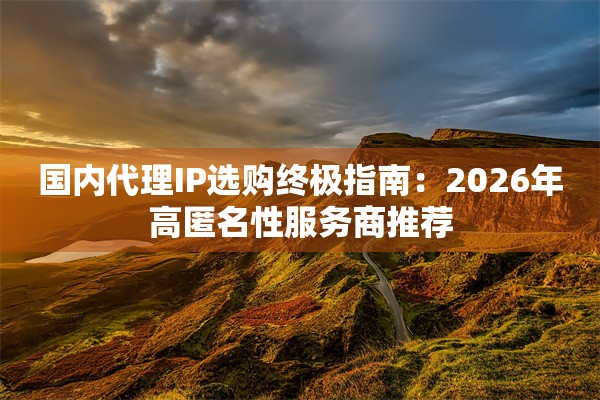 国内代理IP选购终极指南：2026年高匿名性服务商推荐