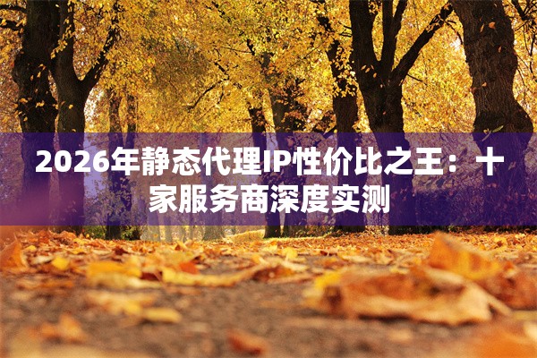 2026年静态代理IP性价比之王：十家服务商深度实测