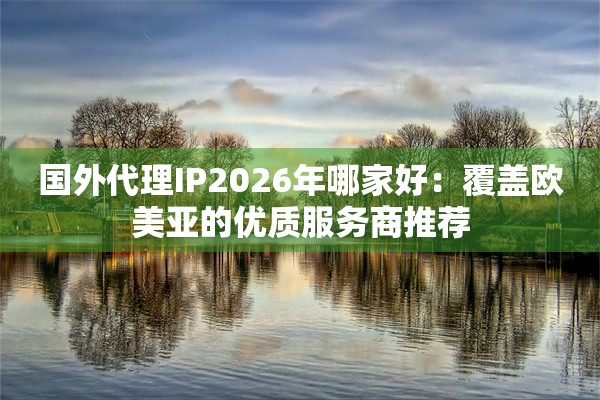 国外代理IP2026年哪家好：覆盖欧美亚的优质服务商推荐