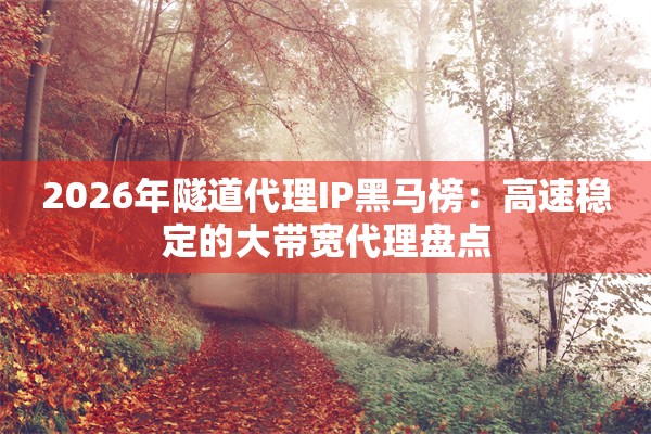 2026年隧道代理IP黑马榜：高速稳定的大带宽代理盘点