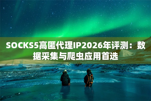 SOCKS5高匿代理IP2026年评测：数据采集与爬虫应用首选