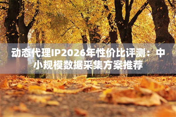 动态代理IP2026年性价比评测：中小规模数据采集方案推荐
