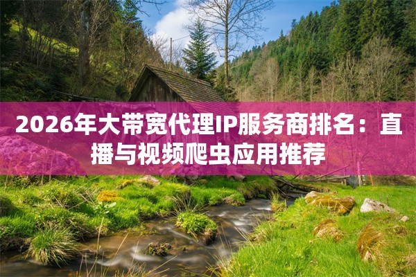 2026年大带宽代理IP服务商排名：直播与视频爬虫应用推荐