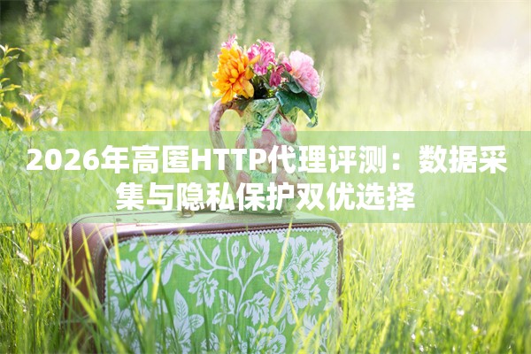 2026年高匿HTTP代理评测：数据采集与隐私保护双优选择