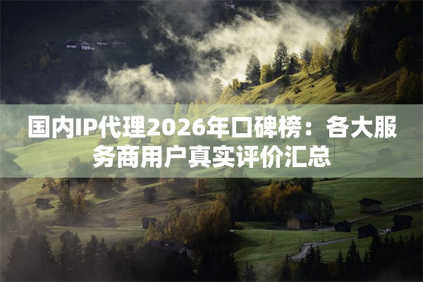 国内IP代理2026年口碑榜：各大服务商用户真实评价汇总