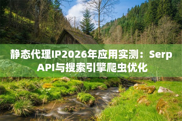 静态代理IP2026年应用实测：Serp API与搜索引擎爬虫优化