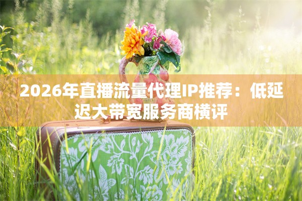 2026年直播流量代理IP推荐：低延迟大带宽服务商横评