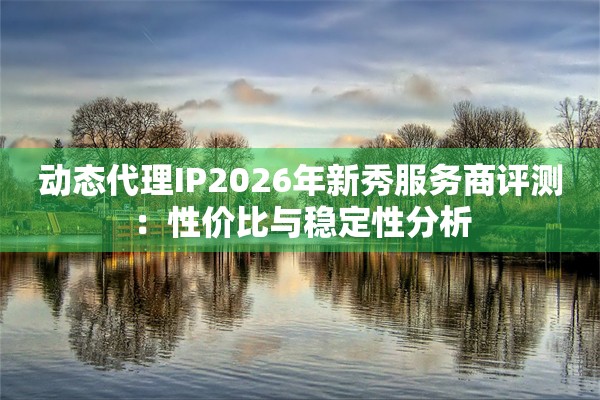 动态代理IP2026年新秀服务商评测：性价比与稳定性分析