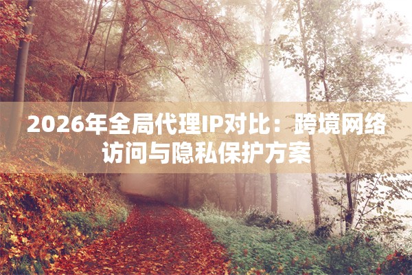 2026年全局代理IP对比：跨境网络访问与隐私保护方案