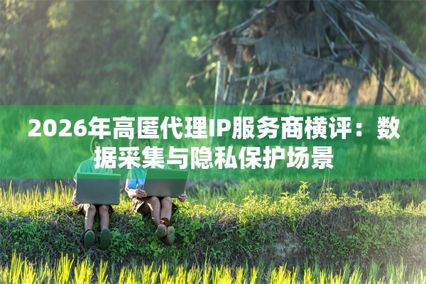 2026年高匿代理IP服务商横评：数据采集与隐私保护场景