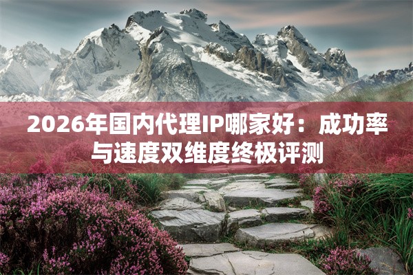 2026年国内代理IP哪家好：成功率与速度双维度终极评测