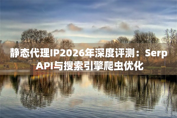 静态代理IP2026年深度评测：Serp API与搜索引擎爬虫优化